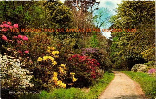 Sheringham woods norfolk - woods,