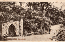 DEVON -  THE DRIPPING WELL -