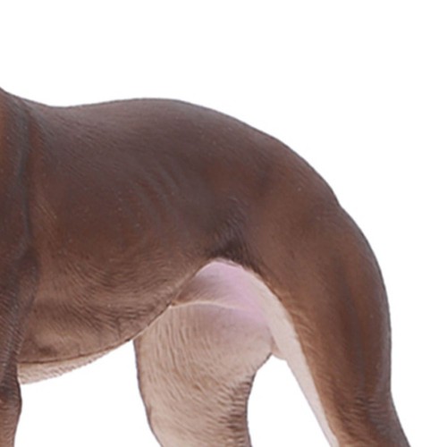 Realistic greyhound dog - realistic,