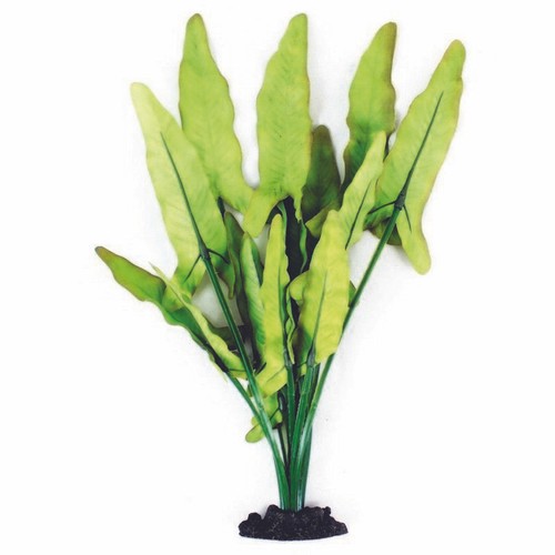 Aqua one silk - one, plant