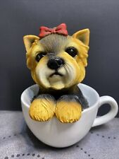 YORKSHIRE TERRIER Teacup