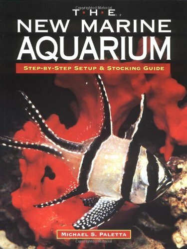 The new marine aquarium step - the,