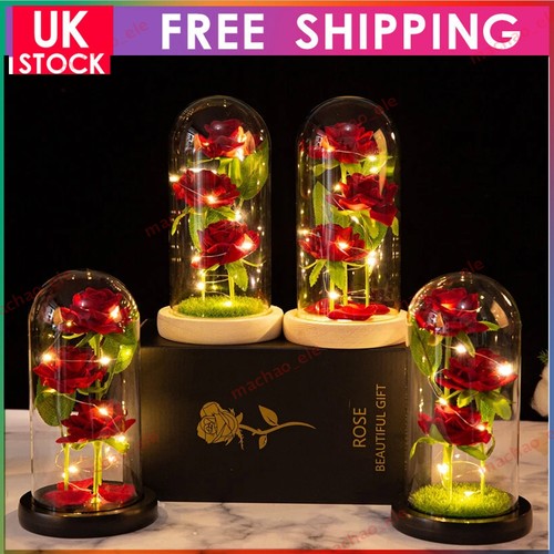 Eternal rose glass dome led - in,