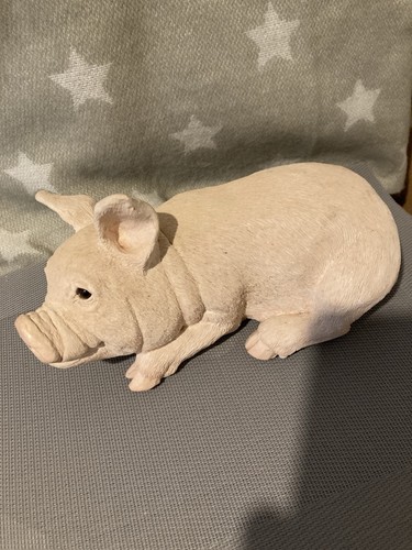Animal classics decorative pig - classics,