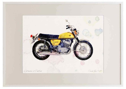 Photo frame suzuki - a3,