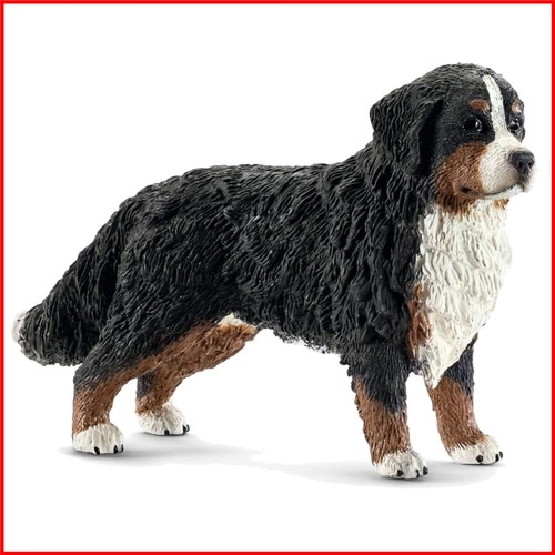 Bernese mountain dog - dog, miniature