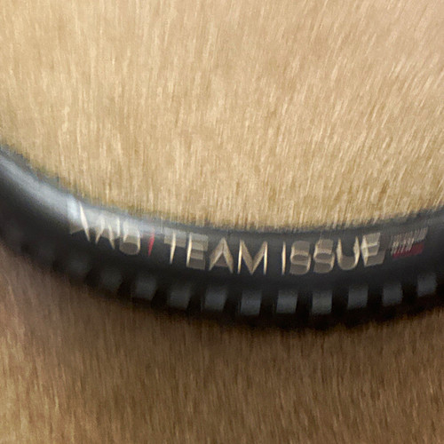 Bontrager xxx team - bontrager,