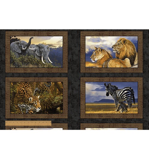 Wild elephant lion - go, zebra