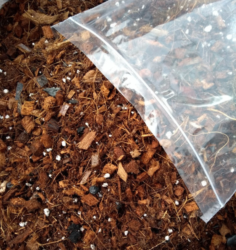 Orchid compost coco - compost, coir