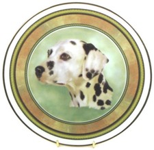 Dog Plates D - P ~ choose your