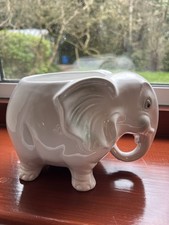 Elephant Plant Pot - White