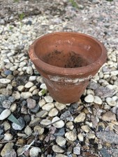 Vintage Old Terracotta Pot