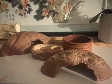 Exo Terra Reptile Terrarium Items Accessories Bundle Reptile Habitat