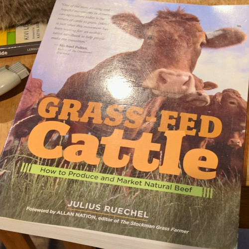 Grassfed cattle produce - produce, &