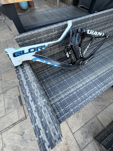 Giant glory 2013 - world, dh