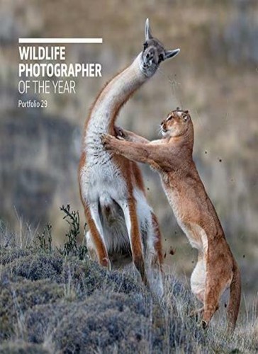 Wildlife photographer the - wildlife, of