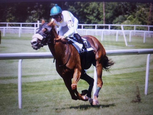 Month horse racing tips - 1-month,