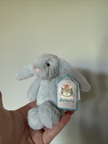 Bnwt tiny baby bashful beau - bnwt,