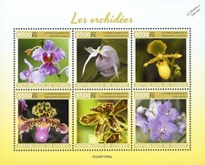 ORCHIDS / Orchid Wild Flowers