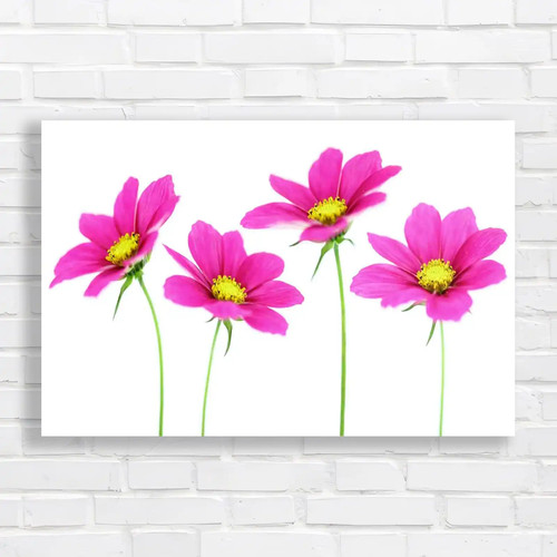 Stunning floral stems set - stunning,