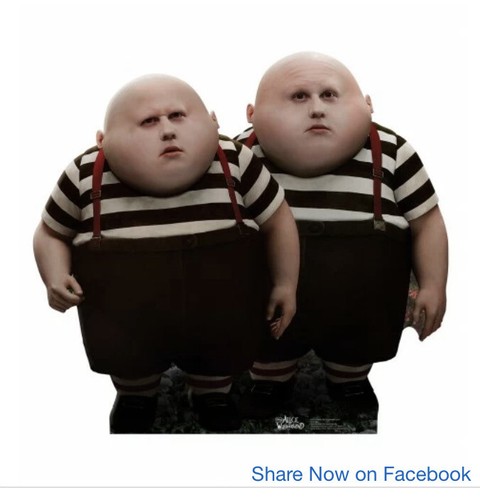 Tweedle dee dum cardboard - dee,