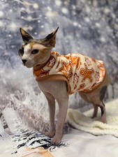 Squish velour velvet Sphynx