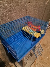 Syrian hamster cage with - hamster,
