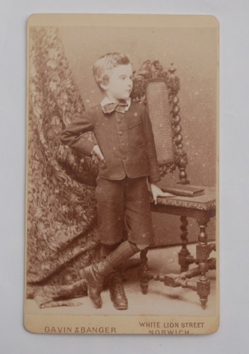 Cdv victorian boy beside - a,