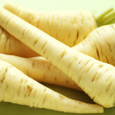 Parsnip F1 Gladiator