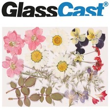 24 Piece Dried Pressed Flowers