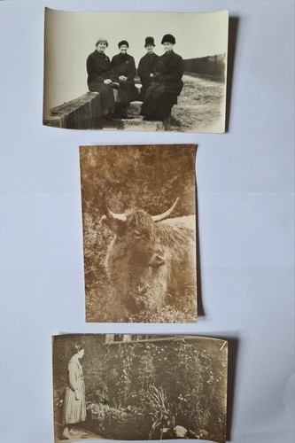 Set vintage postcards - vintage,
