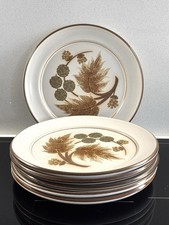 Denby Cotswold Dinner Plates