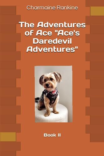 Rankine adventures of ace - rankine,