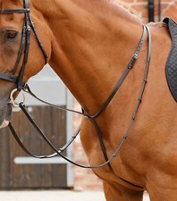 Premier Equine Gressan