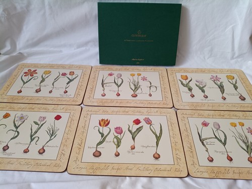 Set cloverleaf tulip - set,