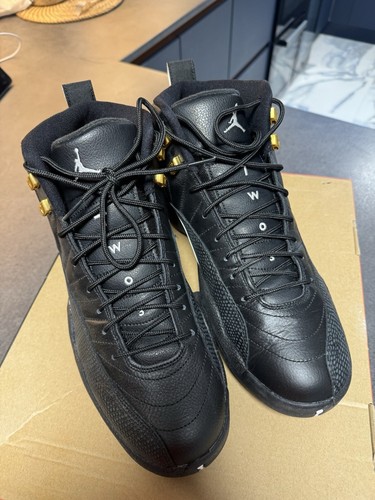 Nike air jordan retro - jordan, 12