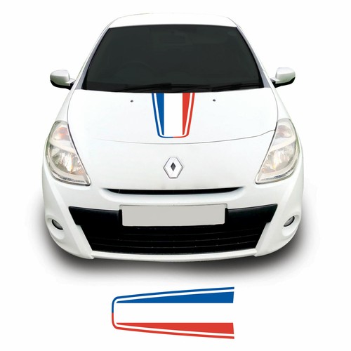 French flag bonnet - bonnet, for