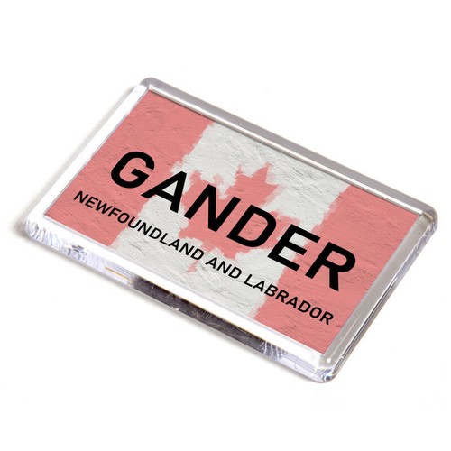 Fridge magnet gander - fridge,