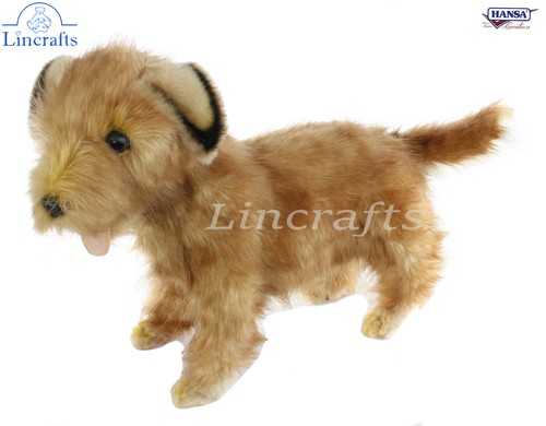 Hansa norfolk terrier 4533 - hansa,