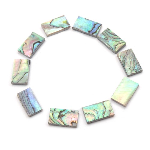 10pcs colorful abalone shell - abalone,