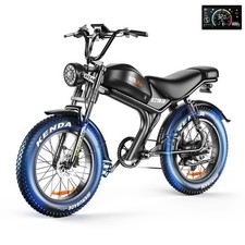 48V 20ah Long Range Electric Mountain Bike Powerful Fat Tire PAS for adults