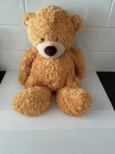 Aurora teddy bear