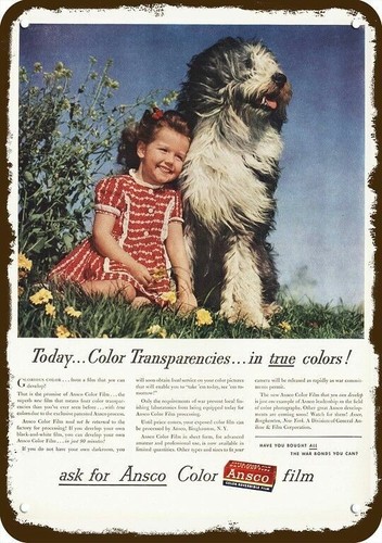 1945 old english sheepdog dog - old,