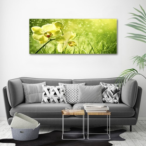 Glass print wall - glass,