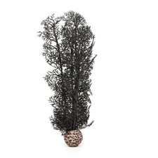 OASE BIORB COLOURED MEDIUM BLACK SEA FAN AQUARIUM FISH TANK DECORATION ORNAMENT