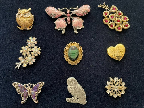 Job lot brooches - lot,