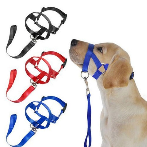 Headcollar non pull - headcollar,
