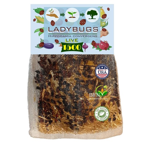 1500 live organic ladybugs for - ladybugs,