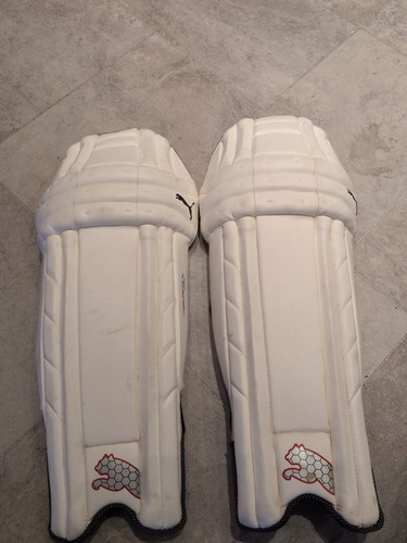 Puma kinetic 3000 cricket - puma,