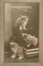 4 Kittens Postcard RPPC